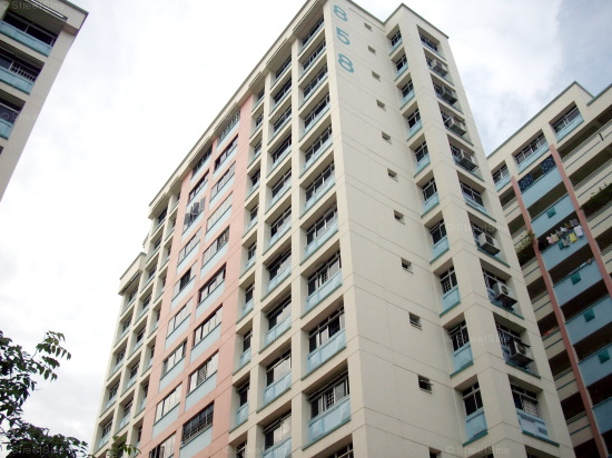 Jurong West Street 81 thumbnail photo